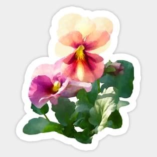 Sunlit Pansies Sticker